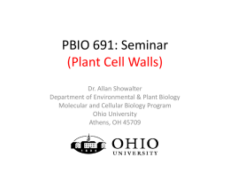 PBIO 691: Seminar (Plant Cell Walls)