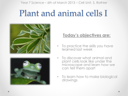 1 plant cell - Moodle Ecolint