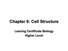 2.1 Cell Structure - leavingcertbiology.net