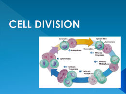Cell Division PPT