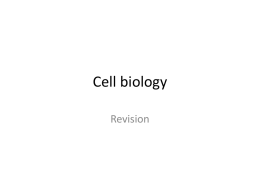 Unit 1 – Biology – Cells PowerPoint