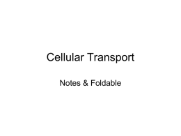 Cell-transport-and-Tonics-foldable-instructions