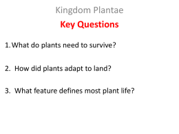 Kingdom Plantae Introduction PreAP web