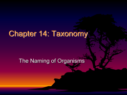 Chapter 14: Taxonomy