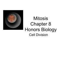 Honors Biology Mitosis Power Point