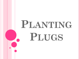 Planting Plugs