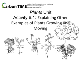 6.1 Explaining Other Examples of Plants Growing and