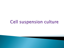 Cell suspension