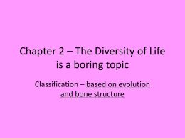 Chapter 2 – The Diversity of Life