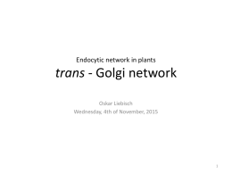 trans-Golgi-Network