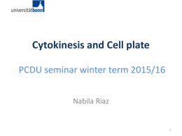 Cytokinesis and Cell plate PCDU seminar winter