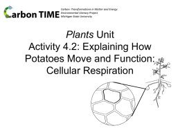 4.2 Explaining How Potato Plants Move and Function