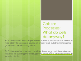 Cellular Processes: What do cells do anyway?
