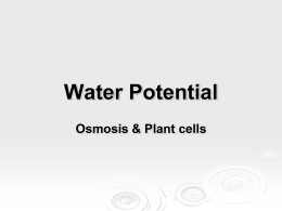 Water Potential Explained