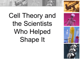 cell theory/scientists powerpoint.
