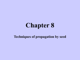 Techniques of Propagation by Seeds