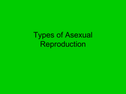 Asexual Reproduction and Types