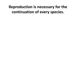 Notes Reproduction File
