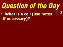 11-3 What is a cell - shssci