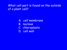 5TH_GRADE_SCIENCE_CRCT_QUESTIONS - Chatt