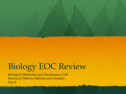 Part 4: EOC Review PowerPoint
