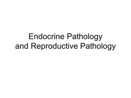 Endocrine Pathology and Reproductive Pathology