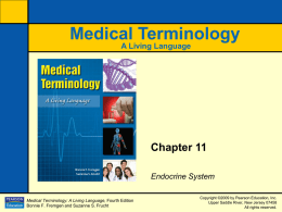 Chapter 11: Endocrine System