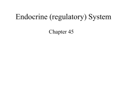 Endocrine (regulatory) System