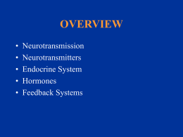 Sinir Sistemi Ve Hormonlar