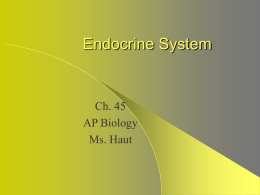 Ch. 45 Endocrine System