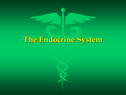 Unit 7 Endocrine
