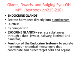 Endocrine pp NOTES revised 01022015