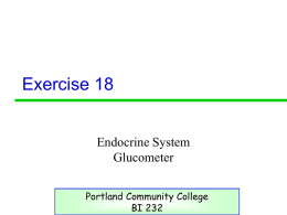 Ativity 21 - PCC - Portland Community College