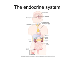 9 Endocrine physiology