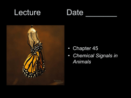 Lecture #20 Date ______