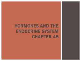 Ch. 45 Endocrine notes-2012