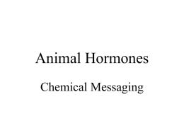 Animal Hormones