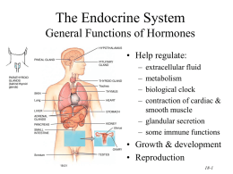 18-1 The Endocrine System