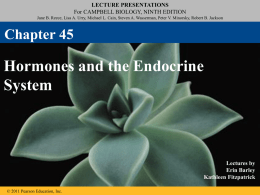 Ch. 45 Hormones and Endocrine System