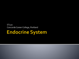 ST120 Endocrine System