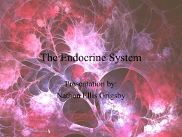 The Endocrine System - AP Biology