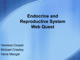 ReproductionSystem_EndocrineSystemWebQuest
