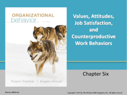 Values, Attitudes, Job Satisfaction, and Counterproductive