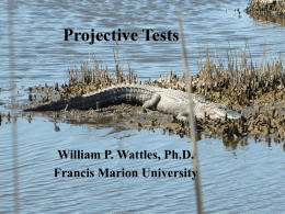 Projective Tests - Francis Marion University