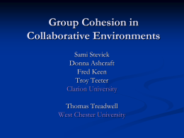 Group Cohesion in a Collaborative Environment