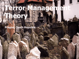 Terror Management Theory (TMT)