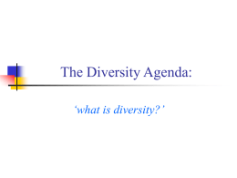 The Diversity Agenda: