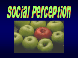 023_W2006_SocialPerception_full