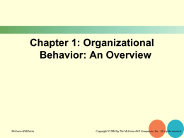 Organizational Behavior: An Overview