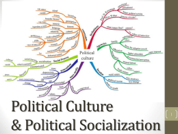 Political culture and political socialization